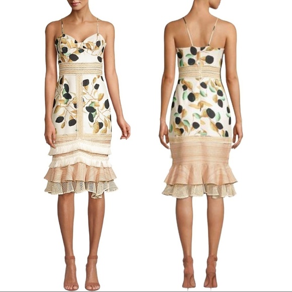 PatBo | NWT Fruta Printed Fitted Midi Dress in Cream - Size US 10 - Picture 1 of 8